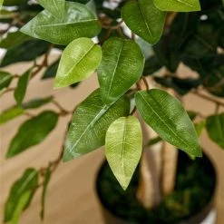 Ficus artificiel HomCom de 59 po en pot, vert -HOMCOM Soldes 2022 330951156 AlternateImage4 l