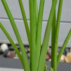 Bananier artificiel HomCom de 63 po en pot, vert 8 Bananier artificiel HomCom de 63 po en pot, vert -HOMCOM Soldes 2022 330951188 AlternateImage4 l