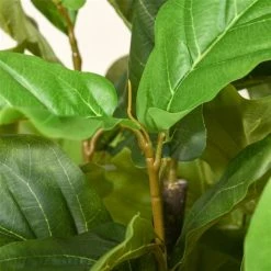 Figuier lyre artificiel HomCom de 61 po en pot, vert 9 Figuier lyre artificiel HomCom de 61 po en pot, vert -HOMCOM Soldes 2022 330951276 AlternateImage5 l